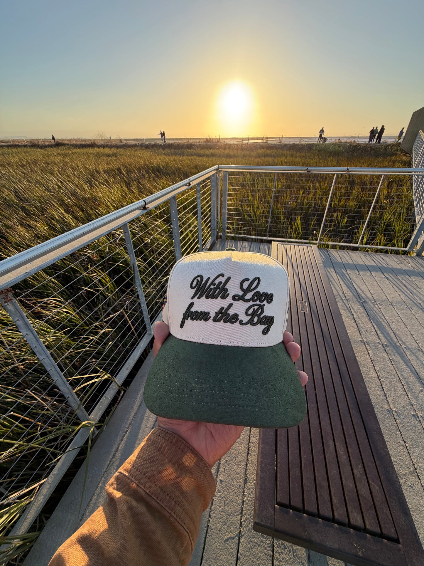 The Hometown Snapback  Cream / Forest Green